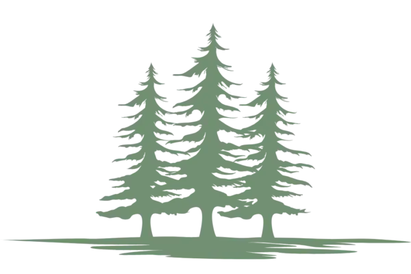 Pine Meadows logo website